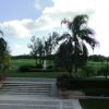 Golf Course View at the Biltmore Hotel in Coral Gables, Florida.